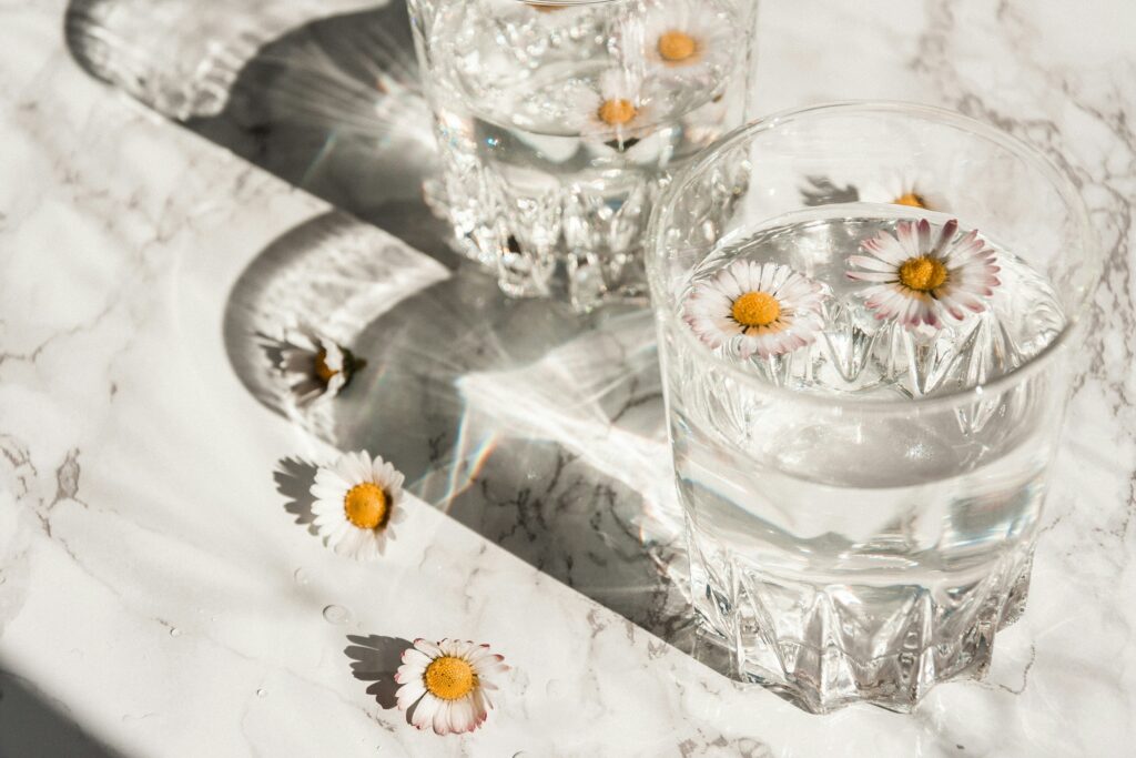 Daisies in a glass of water